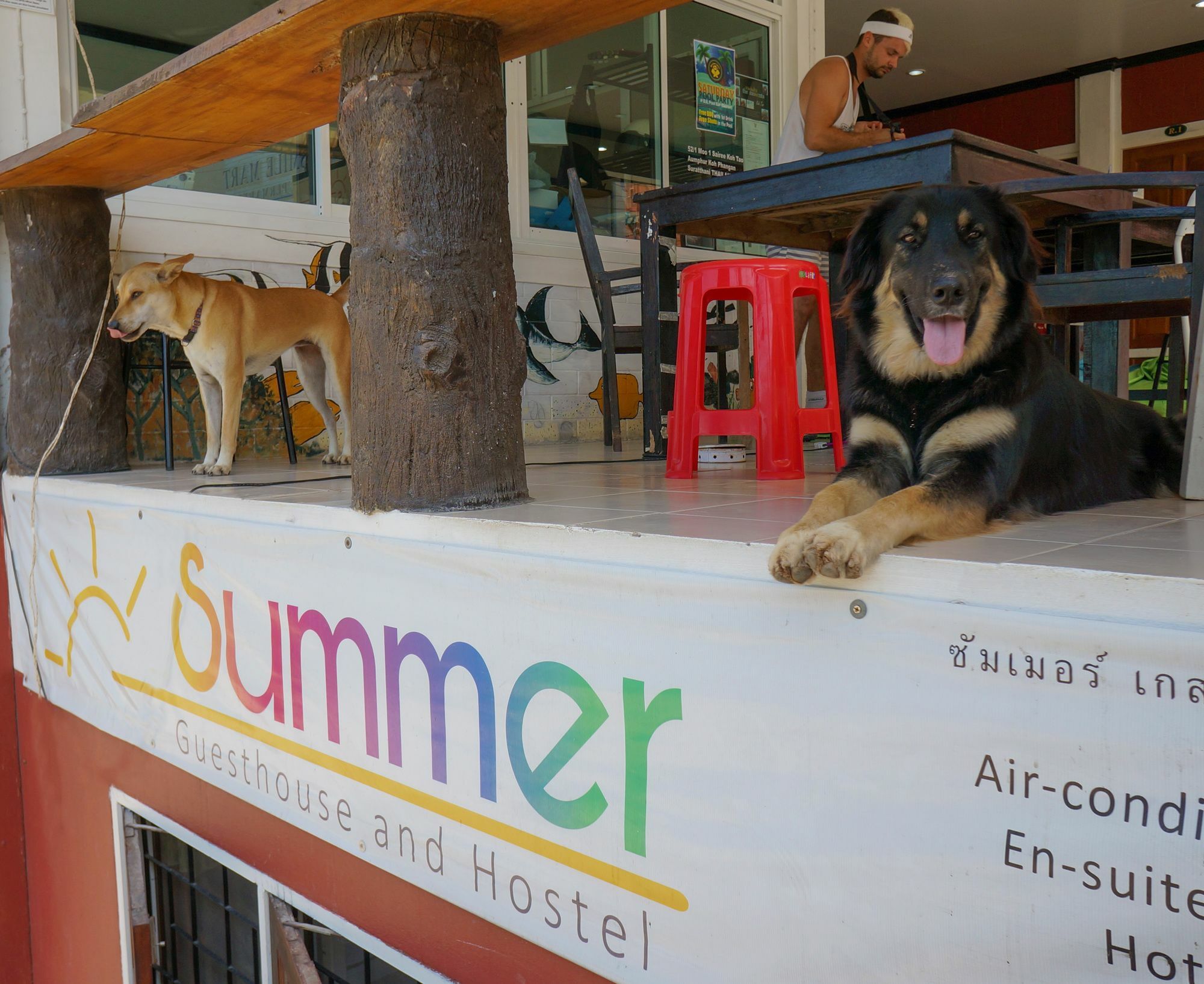 Summer Guesthouse And Hostel Koh Tao Exterior photo